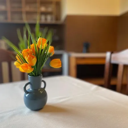 Accommodatie bij particulieren Siwejka - - Beskid Niski