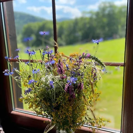 Siwejka - - Beskid Niski Accommodatie bij particulieren Ropki