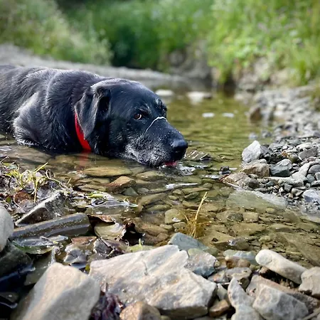 Siwejka - - Beskid Niski Kwatera prywatna *