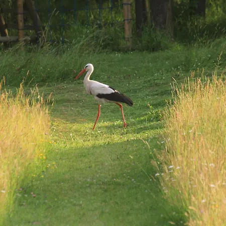 Siwejka - - Beskid Niski Accommodatie bij particulieren Ropki