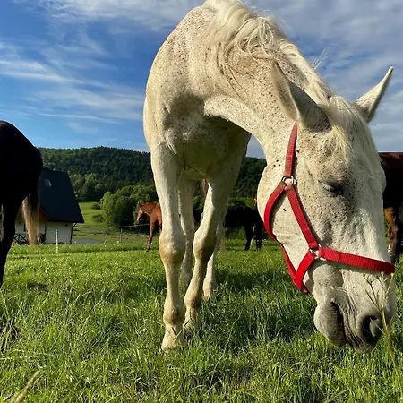 Siwejka - - Beskid Niski Ropki