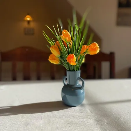 Siwejka Accommodatie bij particulieren *