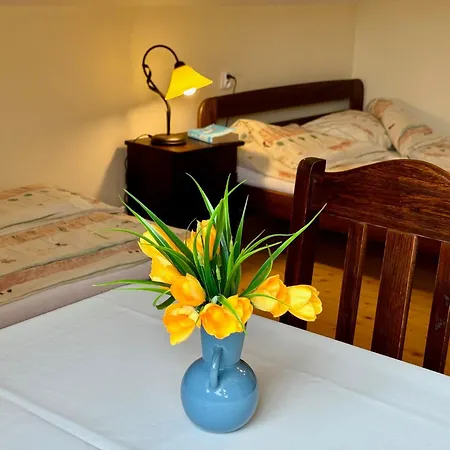 Homestay Siwejka