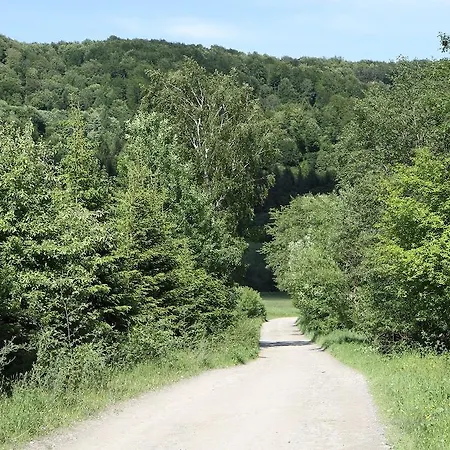 Kwatera prywatna Siwejka - - Beskid Niski Ropki