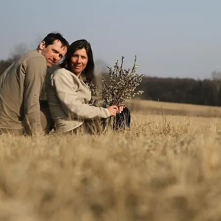 Kwatera prywatna Siwejka - - Beskid Niski Ropki