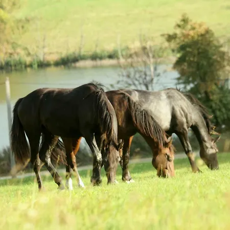 Siwejka - - Beskid Niski * Ropki