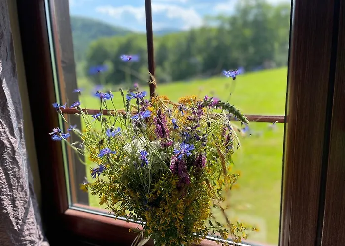 Siwejka - - Beskid Niski Habitación en casa particular Ropki