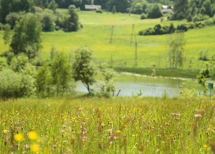 홈스테이 Siwejka - - Beskid Niski *
