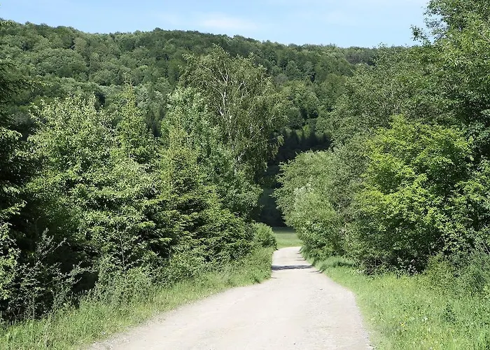 홈스테이 Siwejka - - Beskid Niski Ropki