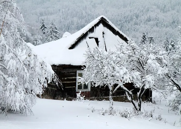 홈스테이 Siwejka - - Beskid Niski *