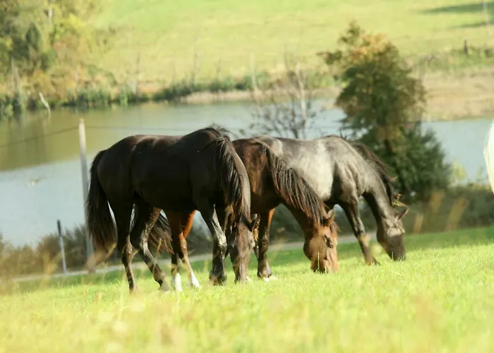 Siwejka - - Beskid Niski * Ropki